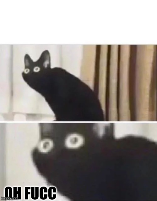 Oh No Black Cat | OH FUCC | image tagged in oh no black cat | made w/ Imgflip meme maker