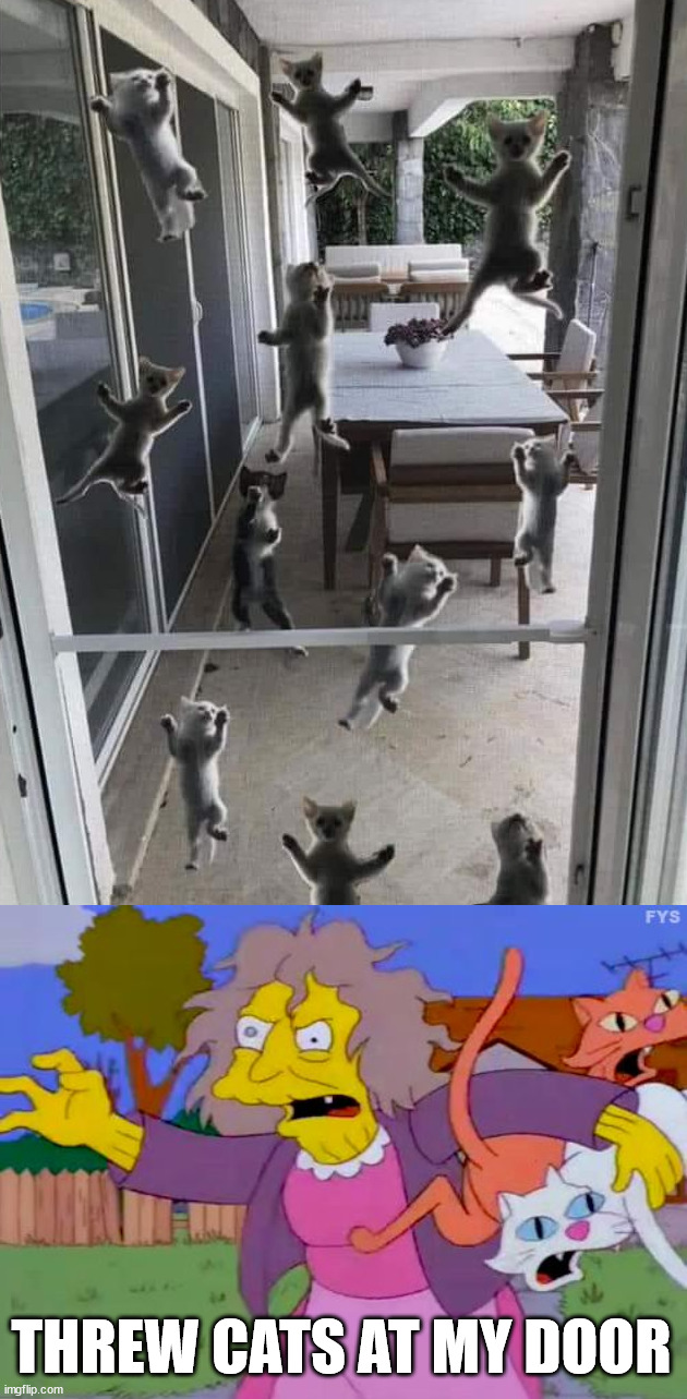 THREW CATS AT MY DOOR | image tagged in hoardington | made w/ Imgflip meme maker