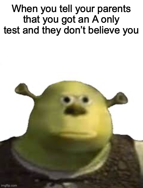 So true tho | When you tell your parents that you got an A only test and they don’t believe you | image tagged in memenade,tests,relatable | made w/ Imgflip meme maker