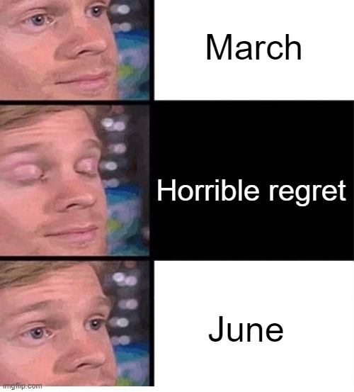 based on a true story | March; Horrible regret; June | image tagged in blinking guy vertical blank,memes | made w/ Imgflip meme maker