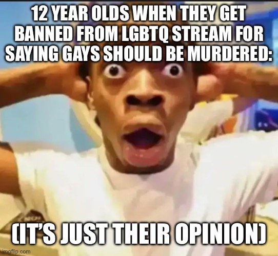 Surprised Black Guy | 12 YEAR OLDS WHEN THEY GET BANNED FROM LGBTQ STREAM FOR SAYING GAYS SHOULD BE MURDERED:; (IT’S JUST THEIR OPINION) | image tagged in surprised black guy | made w/ Imgflip meme maker