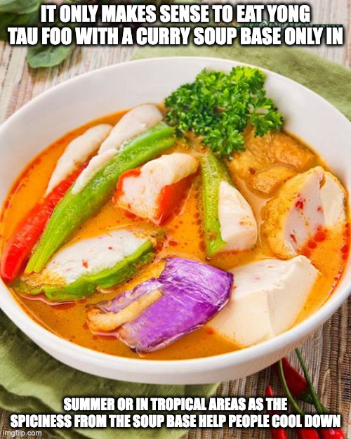 Curry Soup Base Yong Tau Foo | IT ONLY MAKES SENSE TO EAT YONG TAU FOO WITH A CURRY SOUP BASE ONLY IN; SUMMER OR IN TROPICAL AREAS AS THE SPICINESS FROM THE SOUP BASE HELP PEOPLE COOL DOWN | image tagged in food,memes | made w/ Imgflip meme maker