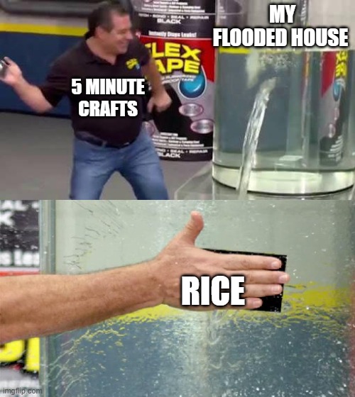 random meme | MY FLOODED HOUSE; 5 MINUTE CRAFTS; RICE | image tagged in flex tape | made w/ Imgflip meme maker