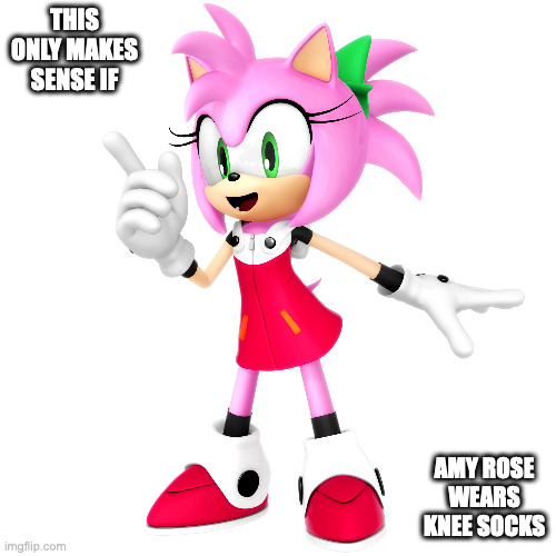 Amy Rose Cosplaying as Roll | THIS ONLY MAKES SENSE IF; AMY ROSE WEARS KNEE SOCKS | image tagged in megaman,roll,amy rose,sonic the hedgehog,memes | made w/ Imgflip meme maker