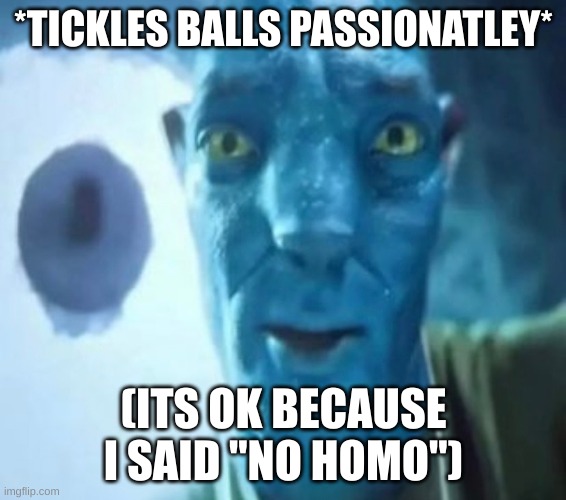Avatar guy | *TICKLES BALLS PASSIONATLEY*; (ITS OK BECAUSE I SAID "NO HOMO") | image tagged in avatar guy | made w/ Imgflip meme maker