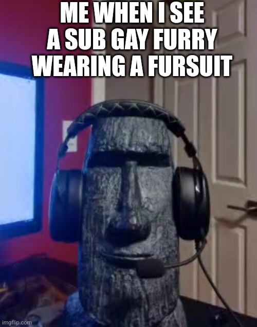 Moai gaming | ME WHEN I SEE A SUB GAY FURRY WEARING A FURSUIT | image tagged in moai gaming | made w/ Imgflip meme maker