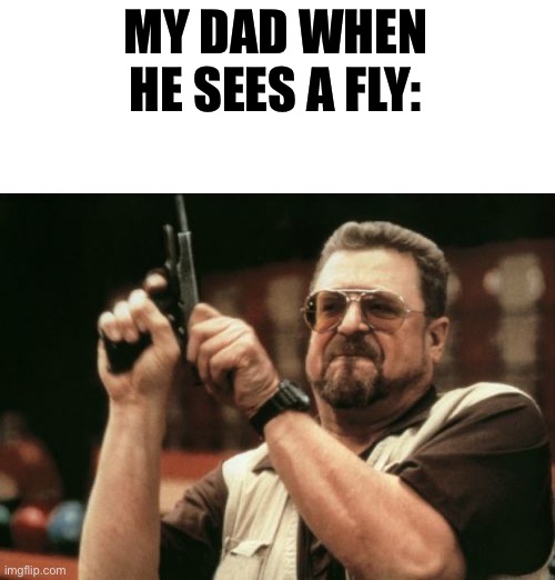 E | MY DAD WHEN HE SEES A FLY: | image tagged in memes,am i the only one around here | made w/ Imgflip meme maker
