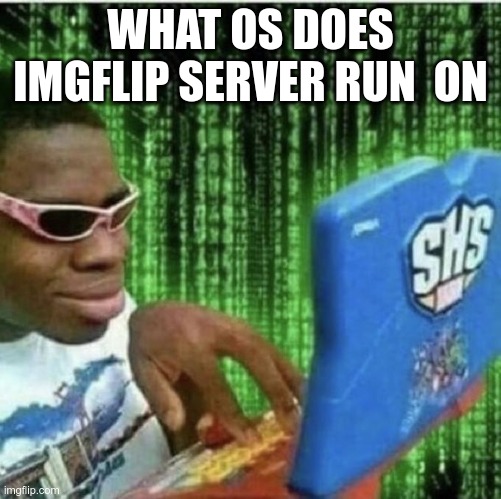 Ryan Beckford | WHAT OS DOES IMGFLIP SERVER RUN  ON | image tagged in ryan beckford | made w/ Imgflip meme maker