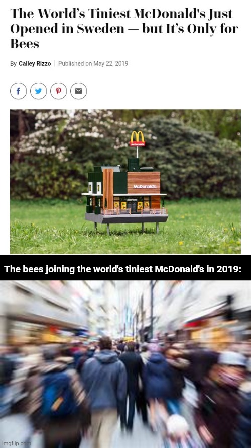 The world's tiniest McDonald's | The bees joining the world's tiniest McDonald's in 2019: | image tagged in people running,bees,bee,mcdonald's,sweden,memes | made w/ Imgflip meme maker