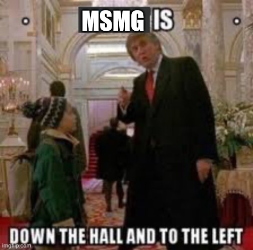 Fun is down the hall and to the left | MSMG | image tagged in fun is down the hall and to the left | made w/ Imgflip meme maker