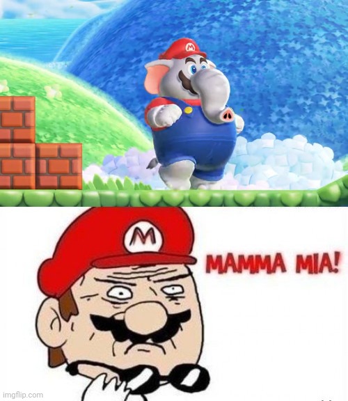 THAT GAME LOOKS FUN, BUT WHAT THE HECK IS THAT? | image tagged in super mario bros,super mario,nintendo,nintendo switch | made w/ Imgflip meme maker