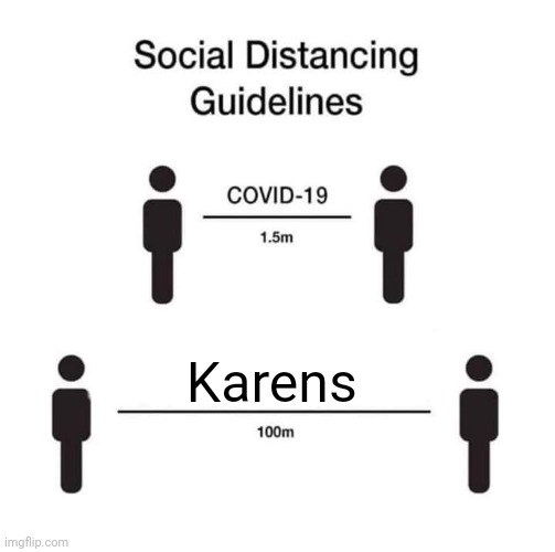 *socially distances away from Karens* | Karens | image tagged in social distancing guidelines,karens,karen,memes,meme,social distancing | made w/ Imgflip meme maker