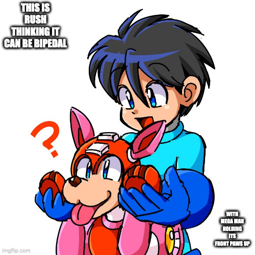 Mega Man Holding Rush's Paws Up | THIS IS RUSH THINKING IT CAN BE BIPEDAL; WITH MEGA MAN HOLDING ITS FRONT PAWS UP | image tagged in megaman,rush,memes | made w/ Imgflip meme maker