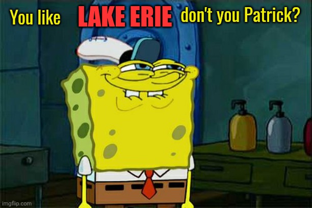 Don't You Squidward Meme | You like LAKE ERIE don't you Patrick? | image tagged in memes,don't you squidward | made w/ Imgflip meme maker