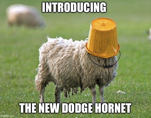 Dodge hornet | INTRODUCING; THE NEW DODGE HORNET | image tagged in stupid sheep | made w/ Imgflip meme maker