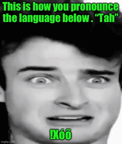 disgusted | This is how you pronounce the language below . “Tah”; !Xóõ | image tagged in disgusted | made w/ Imgflip meme maker