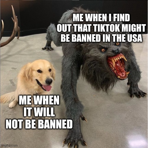 Me | ME WHEN I FIND OUT THAT TIKTOK MIGHT BE BANNED IN THE USA; ME WHEN IT WILL NOT BE BANNED | image tagged in dog vs werewolf | made w/ Imgflip meme maker