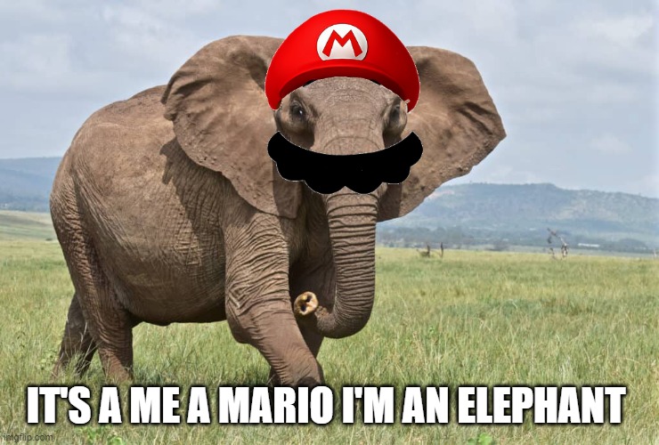 Mario the elephant | IT'S A ME A MARIO I'M AN ELEPHANT | image tagged in nintendo,mario,video games,memes,funny | made w/ Imgflip meme maker