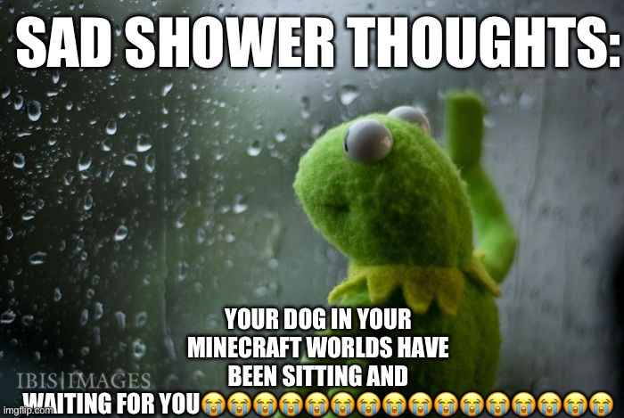 kermit window | YOUR DOG IN YOUR MINECRAFT WORLDS HAVE BEEN SITTING AND WAITING FOR YOU😭😭😭😭😭😭😭😭😭😭😭😭😭😭😭😭; SAD SHOWER THOUGHTS: | image tagged in kermit window | made w/ Imgflip meme maker