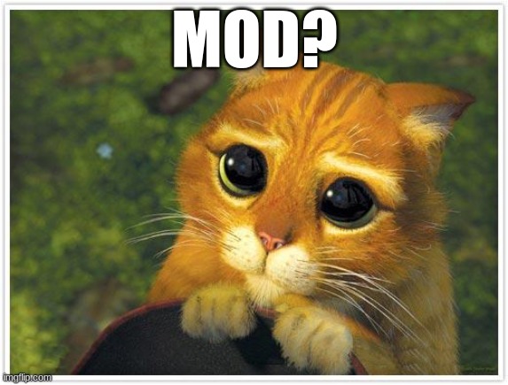 Shrek Cat Meme | MOD? | image tagged in memes,shrek cat | made w/ Imgflip meme maker