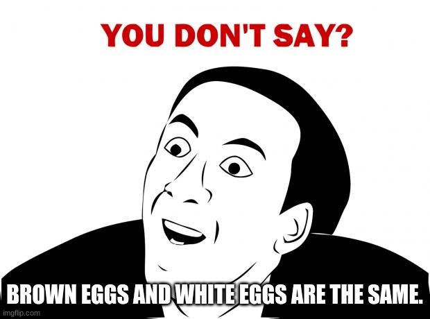 same things | BROWN EGGS AND WHITE EGGS ARE THE SAME. | image tagged in memes,you don't say | made w/ Imgflip meme maker