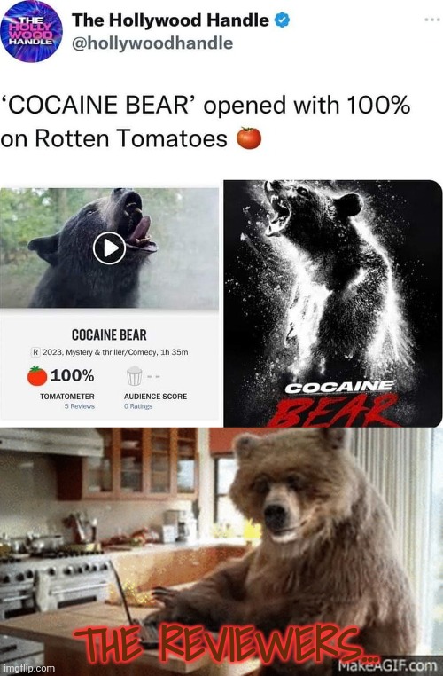 But why? Why would you do that? | THE REVIEWERS... | image tagged in cocaine,bear,problems | made w/ Imgflip meme maker