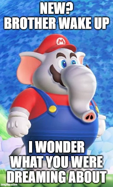 NEW? I WONDER | NEW? BROTHER WAKE UP; I WONDER WHAT YOU WERE DREAMING ABOUT | image tagged in mario | made w/ Imgflip meme maker
