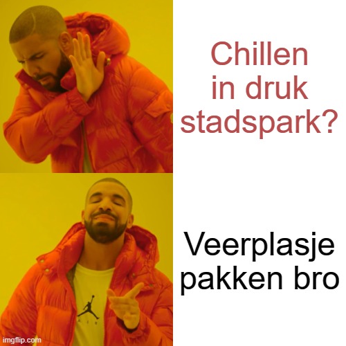 Drake Hotline Bling Meme | Chillen in druk stadspark? Veerplasje pakken bro | image tagged in memes,drake hotline bling | made w/ Imgflip meme maker