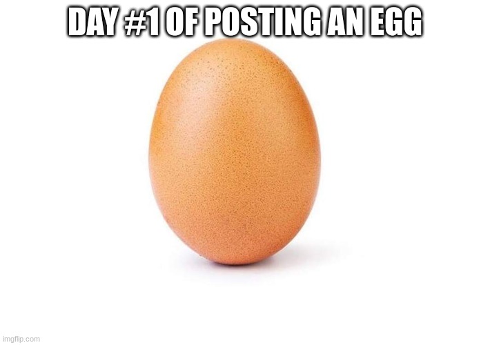 i will do 100 days | DAY #1 OF POSTING AN EGG | image tagged in eggbert,memes | made w/ Imgflip meme maker