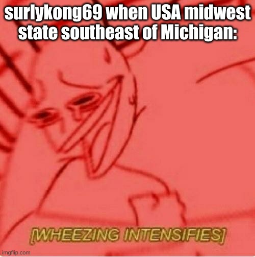 Wheeze | surlykong69 when USA midwest state southeast of Michigan: | image tagged in wheeze | made w/ Imgflip meme maker
