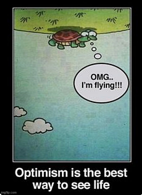 turtle flies | image tagged in memes,middle school,turtles | made w/ Imgflip meme maker