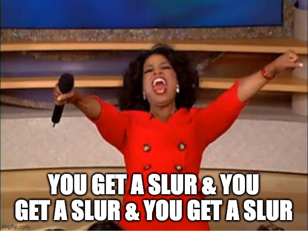 Oprah You Get A Meme | YOU GET A SLUR & YOU GET A SLUR & YOU GET A SLUR | image tagged in memes,oprah you get a | made w/ Imgflip meme maker