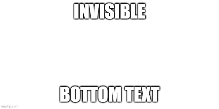 no | INVISIBLE; BOTTOM TEXT | image tagged in invisible | made w/ Imgflip meme maker