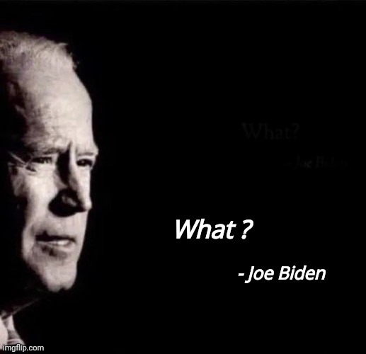 Famous Presidential Quotes | - Joe Biden; What ? | image tagged in mr potato head,president,government corruption,the big guy,pay attention,money money | made w/ Imgflip meme maker