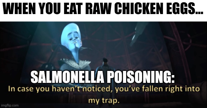 The eggs in Britain are much better | WHEN YOU EAT RAW CHICKEN EGGS... SALMONELLA POISONING: | image tagged in megamind trap template | made w/ Imgflip meme maker