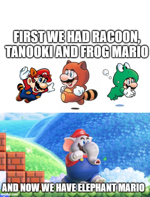 is that an elephant fetish? | FIRST WE HAD RACOON, TANOOKI AND FROG MARIO; AND NOW WE HAVE ELEPHANT MARIO | image tagged in blank white template,super mario bros,nintendo switch,elephant,nintendo,mario | made w/ Imgflip meme maker