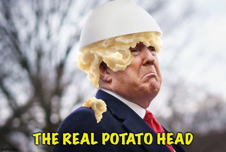 THE REAL POTATO HEAD | made w/ Imgflip meme maker