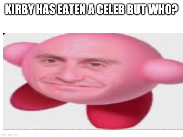 KIRBY HAS EATEN A CELEB BUT WHO? | image tagged in kirby,cursed image,memes | made w/ Imgflip meme maker