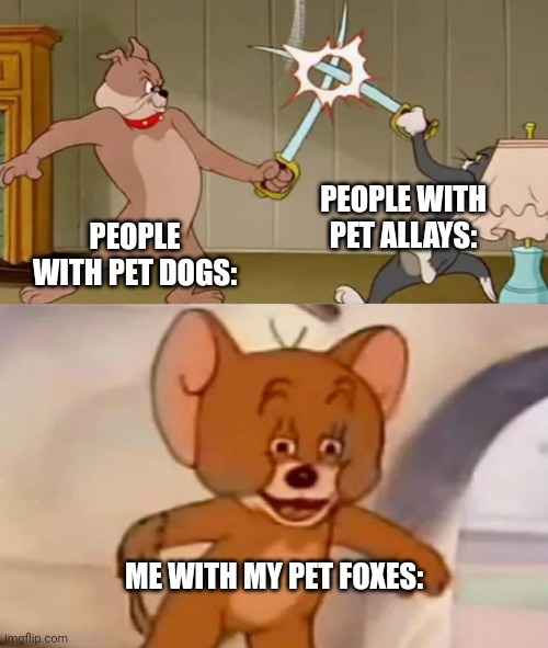 Tom and Spike fighting | PEOPLE WITH PET DOGS: PEOPLE WITH PET ALLAYS: ME WITH MY PET FOXES: | image tagged in tom and spike fighting | made w/ Imgflip meme maker
