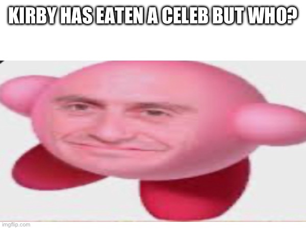KIRBY HAS EATEN A CELEB BUT WHO? | image tagged in cursed image,kirby,memes | made w/ Imgflip meme maker
