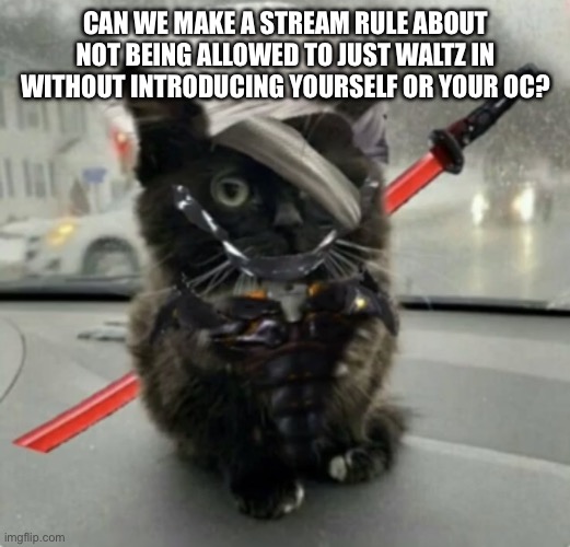 @stream owners | CAN WE MAKE A STREAM RULE ABOUT NOT BEING ALLOWED TO JUST WALTZ IN WITHOUT INTRODUCING YOURSELF OR YOUR OC? | image tagged in raiden cat | made w/ Imgflip meme maker