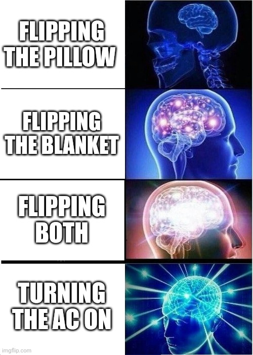 Sleeping in a chilly room just hits different | FLIPPING THE PILLOW; FLIPPING THE BLANKET; FLIPPING BOTH; TURNING THE AC ON | image tagged in memes,expanding brain,sleep,cold | made w/ Imgflip meme maker