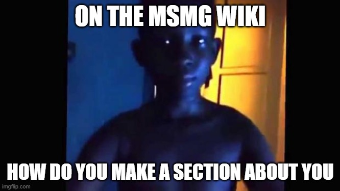 21 kid | ON THE MSMG WIKI; HOW DO YOU MAKE A SECTION ABOUT YOU | image tagged in 21 kid | made w/ Imgflip meme maker