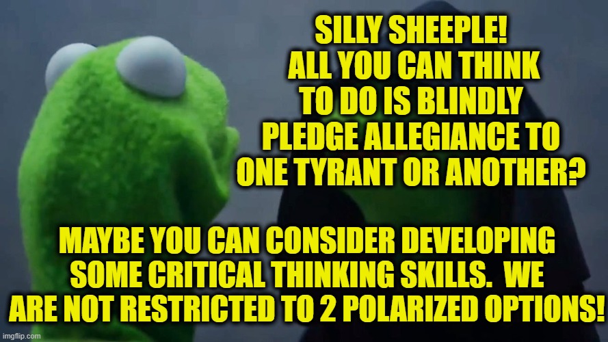 Kermit Inner Me | SILLY SHEEPLE!  ALL YOU CAN THINK TO DO IS BLINDLY PLEDGE ALLEGIANCE TO ONE TYRANT OR ANOTHER? MAYBE YOU CAN CONSIDER DEVELOPING SOME CRITIC | image tagged in kermit inner me | made w/ Imgflip meme maker