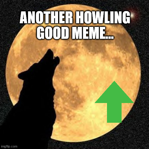 howlmoon | ANOTHER HOWLING GOOD MEME... | image tagged in howlmoon | made w/ Imgflip meme maker