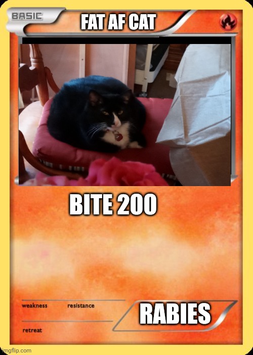 Blank Pokemon Card | FAT AF CAT; BITE 200; RABIES | image tagged in blank pokemon card | made w/ Imgflip meme maker
