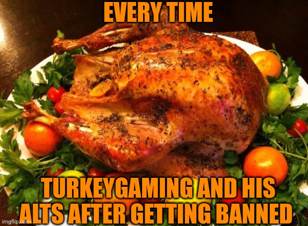 Roasted turkey | EVERY TIME; TURKEYGAMING AND HIS ALTS AFTER GETTING BANNED | image tagged in roasted turkey | made w/ Imgflip meme maker