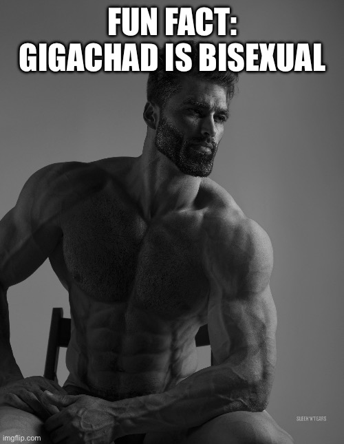 Giga Chad | FUN FACT: GIGACHAD IS BISEXUAL | image tagged in giga chad | made w/ Imgflip meme maker