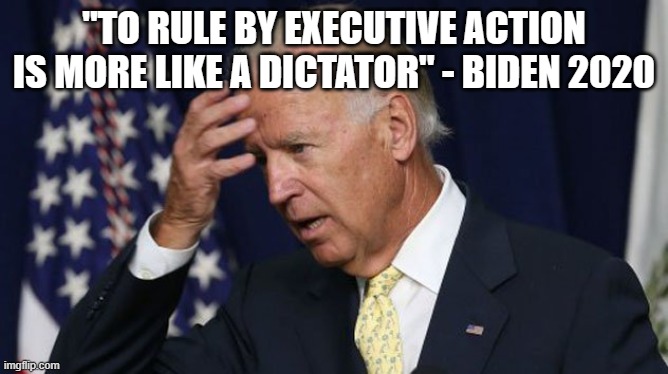 Joe Biden worries | "TO RULE BY EXECUTIVE ACTION IS MORE LIKE A DICTATOR" - BIDEN 2020 | image tagged in joe biden worries | made w/ Imgflip meme maker