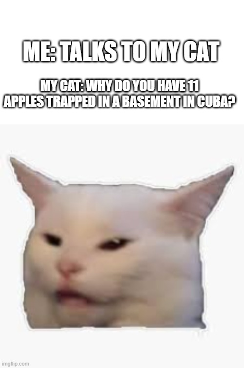 MEW MEW | ME: TALKS TO MY CAT; MY CAT: WHY DO YOU HAVE 11 APPLES TRAPPED IN A BASEMENT IN CUBA? | image tagged in funny cats,funny memes,hilarious memes | made w/ Imgflip meme maker
